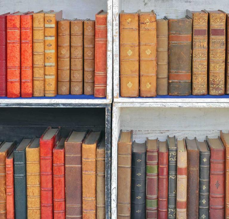 Adobe Stock shelfie